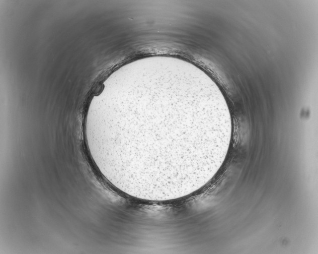 X0000093720453200711131018