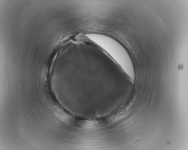 X0000093720458200711131018