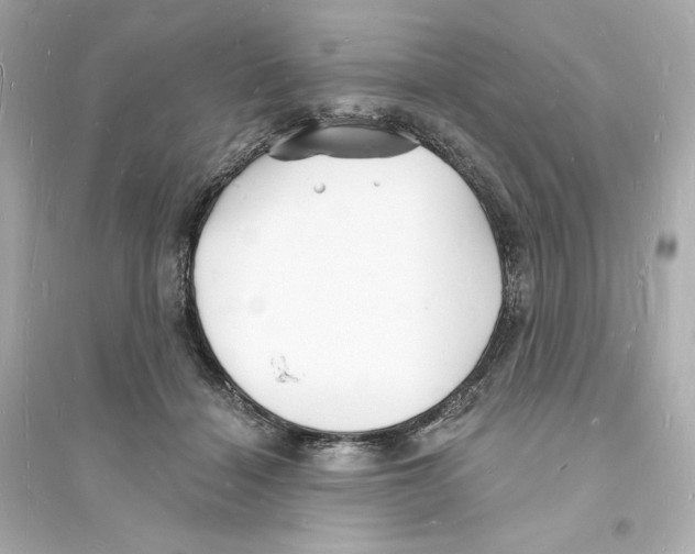 X0000093720460200711131018