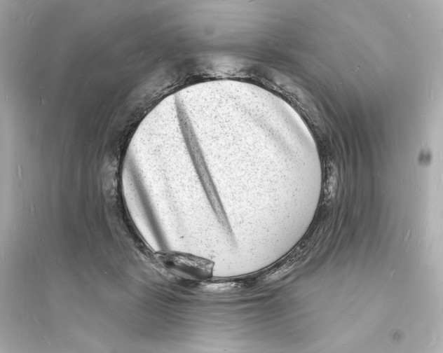 X0000093720461200711131018