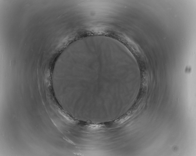 X0000093720465200711131018