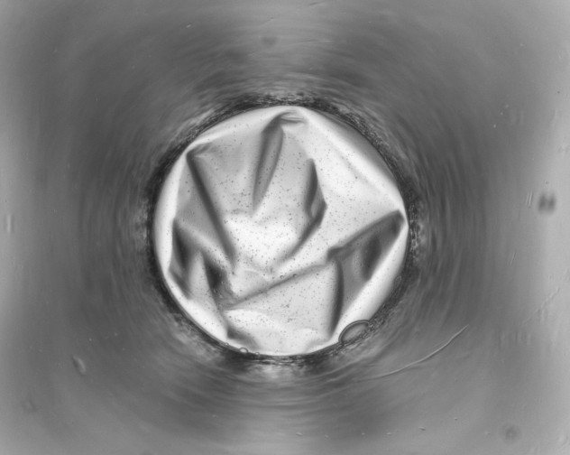 X0000093720466200711131018