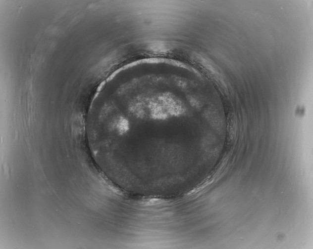 X0000093720467200711131018