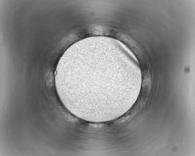 X0000093720469200711131018