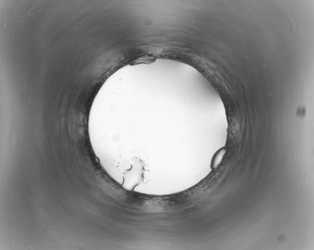 X0000093720470200711131018