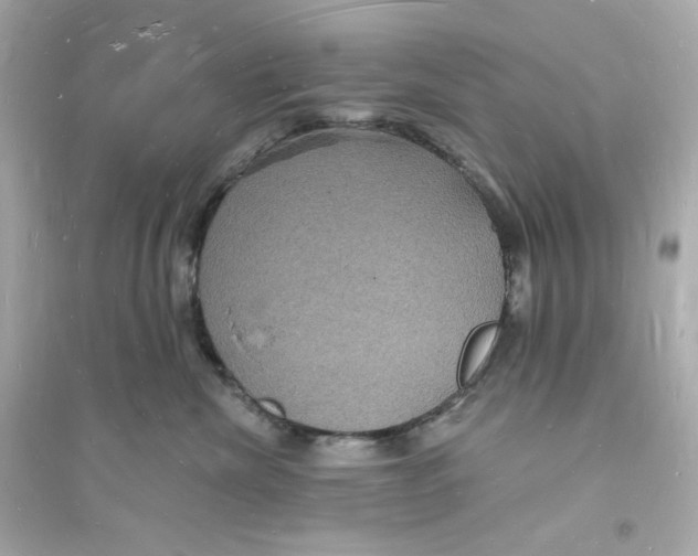 X0000093720476200711131018