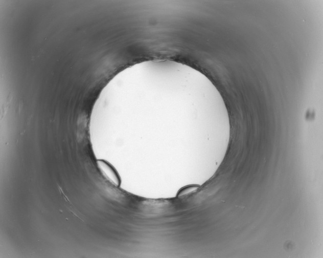 X0000093720480200711131018