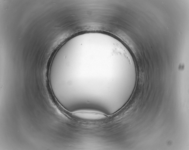 X0000093720485200711131017