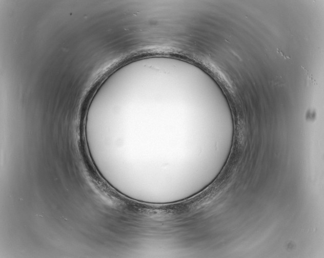 X0000093720486200711131017