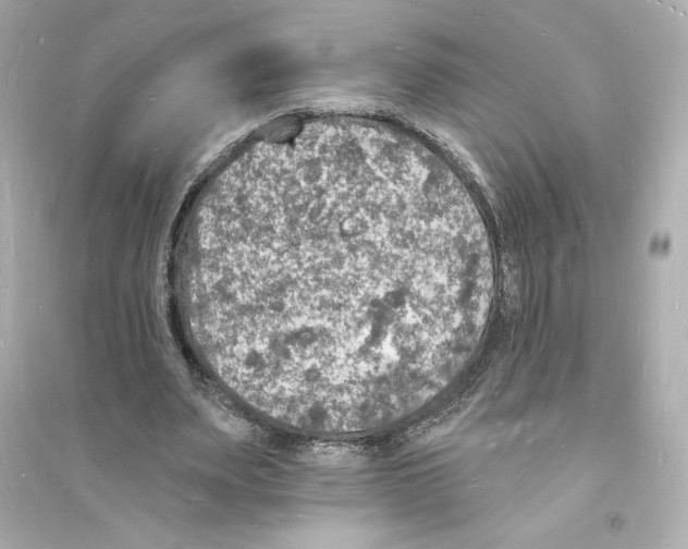 X0000093720487200711131017