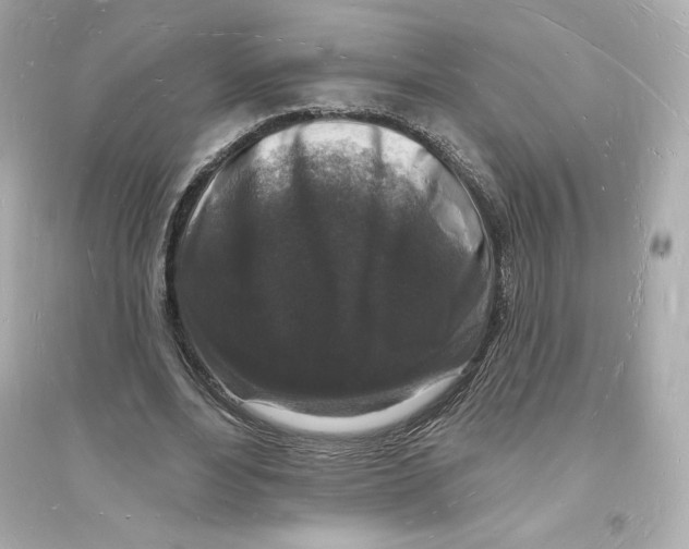 X0000093720488200711131017