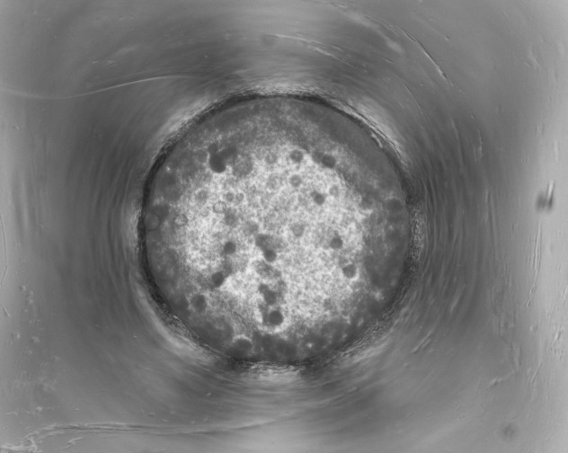 X0000093720491200711131017