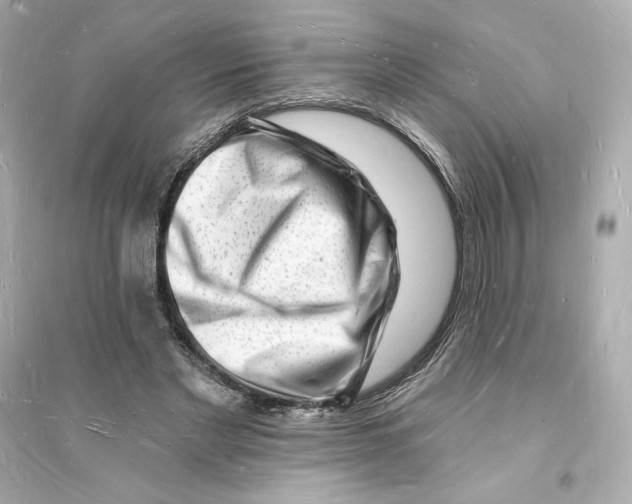 X0000093720493200711131017