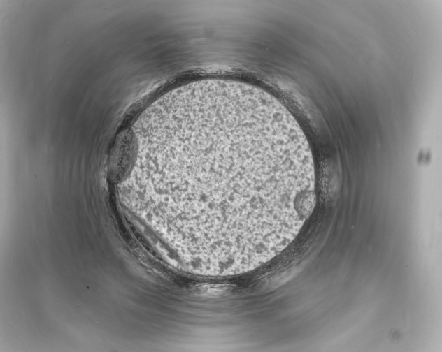 X0000093720495200711131017