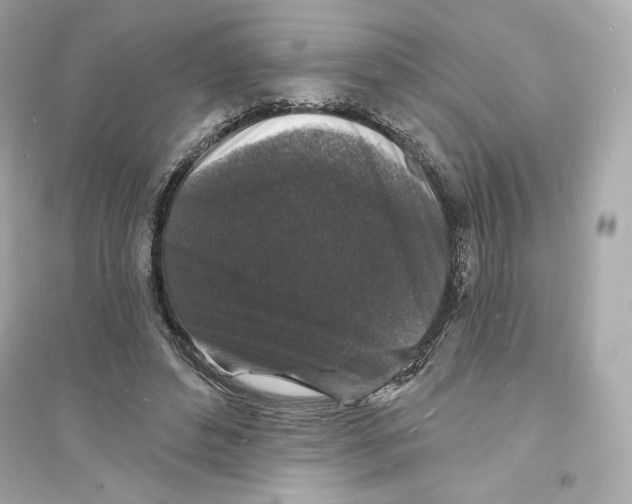 X0000093720496200711131017