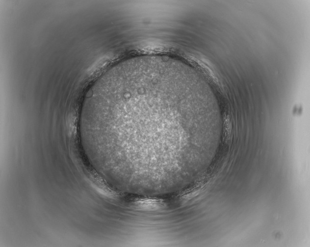 X0000093720499200711131017