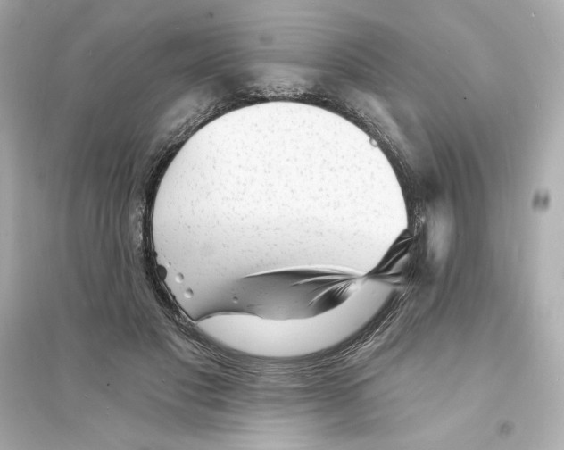 X0000093720501200711131017