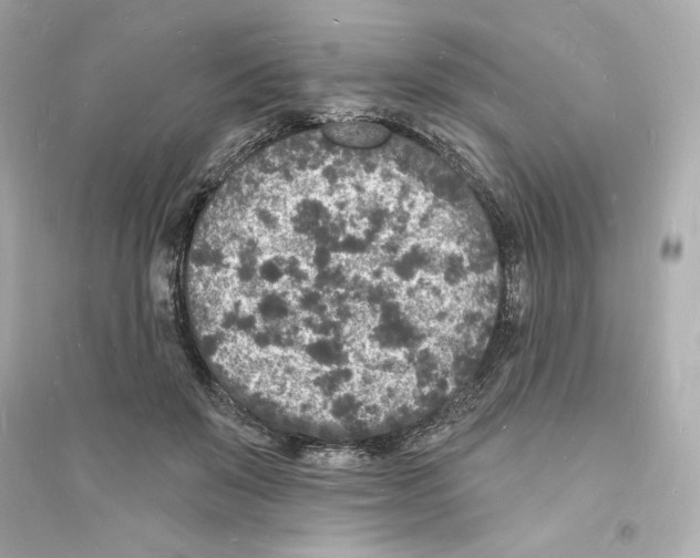 X0000093720503200711131017