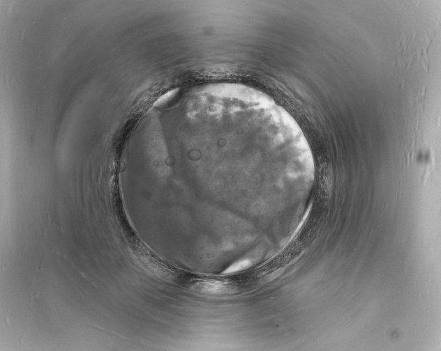 X0000093720507200711131017