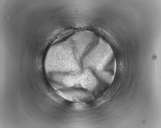 X0000093720508200711131017