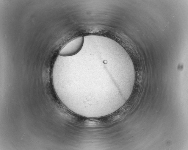 X0000093720510200711131017