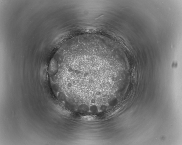 X0000093720511200711131017