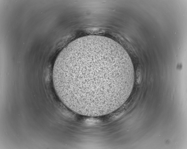 X0000093720515200711131017