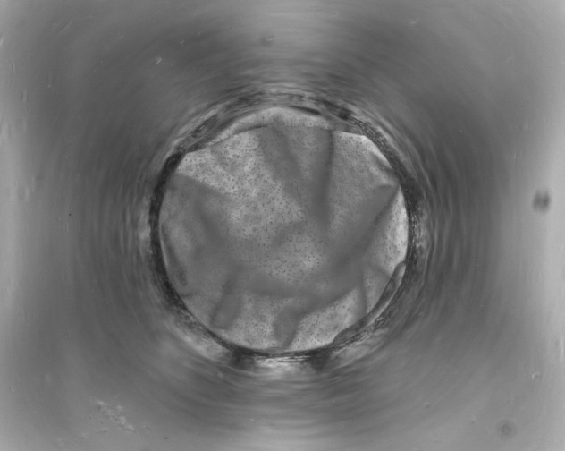 X0000093720516200711131017