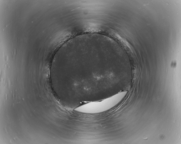 X0000093720517200711131017