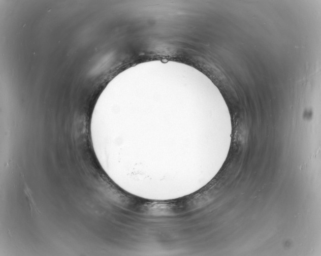 X0000093720518200711131017