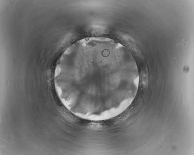 X0000093720519200711131017