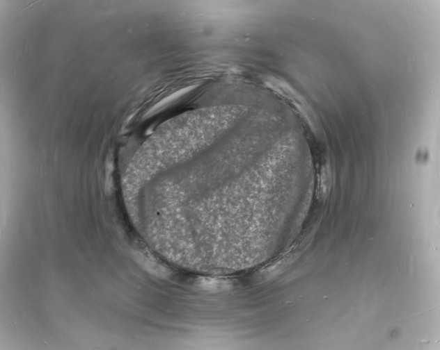 X0000093720520200711131017