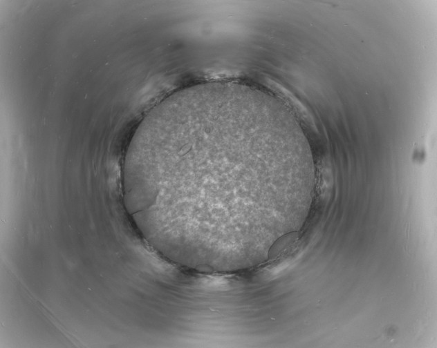 X0000093720523200711131017