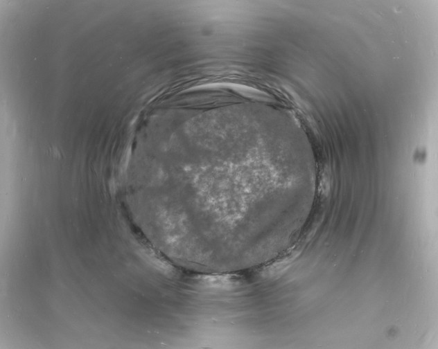 X0000093720524200711131017