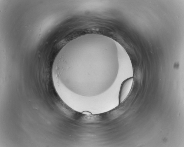 X0000093720526200711131017