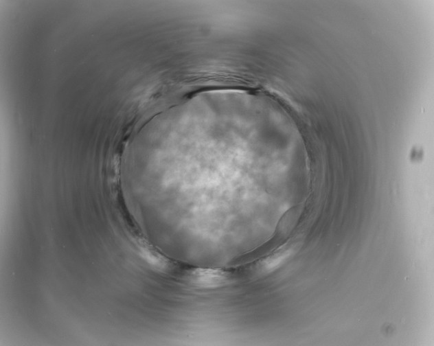 X0000093720528200711131017