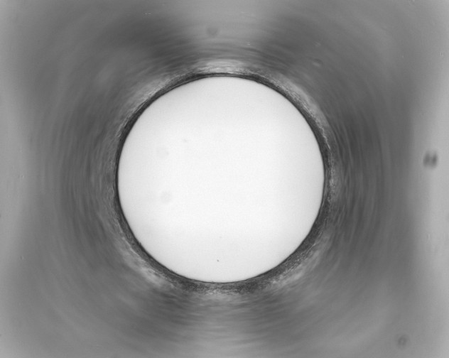 X0000093720529200711131016