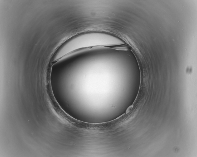 X0000093720530200711131016