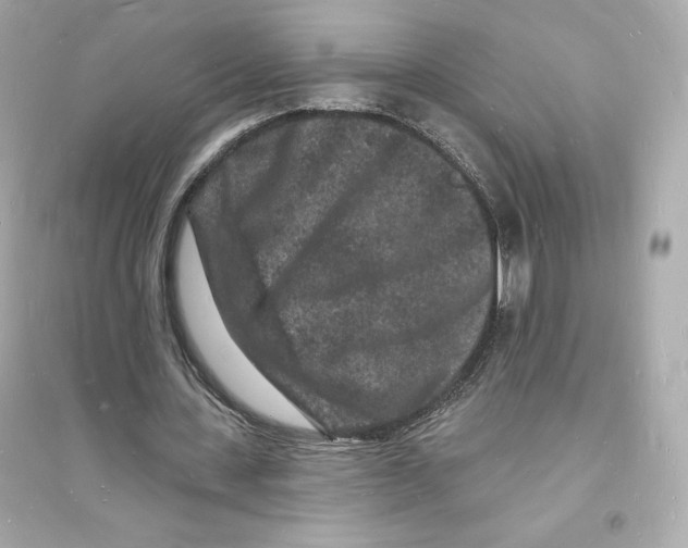 X0000093720531200711131016