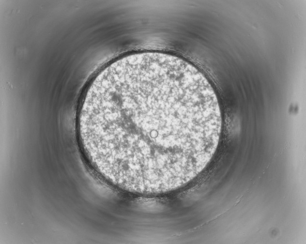 X0000093720534200711131016