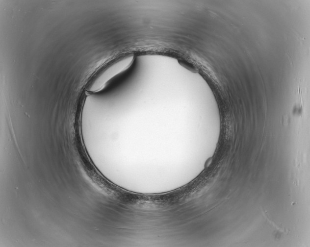 X0000093720538200711131016