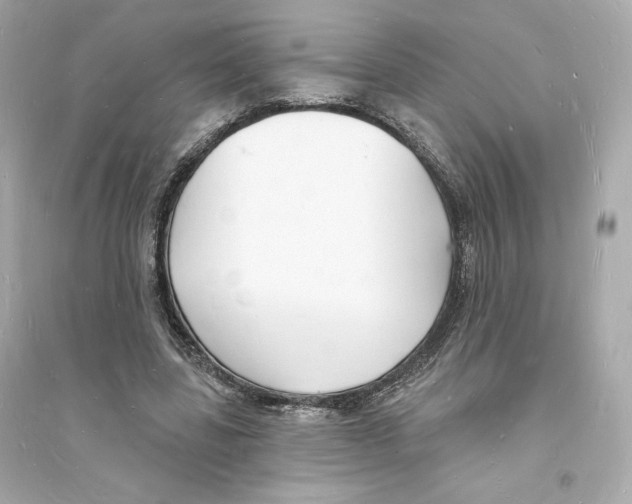 X0000093720539200711131016