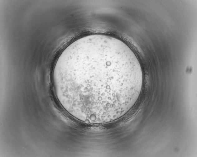 X0000093720541200711131016