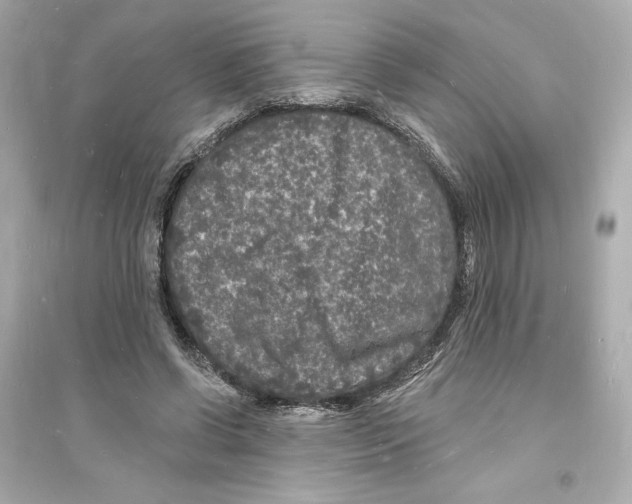 X0000093720542200711131016