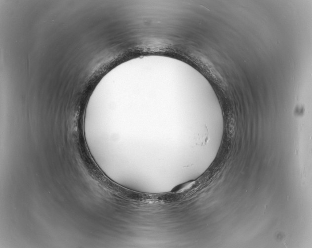 X0000093720543200711131016