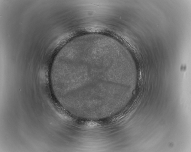 X0000093720547200711131016