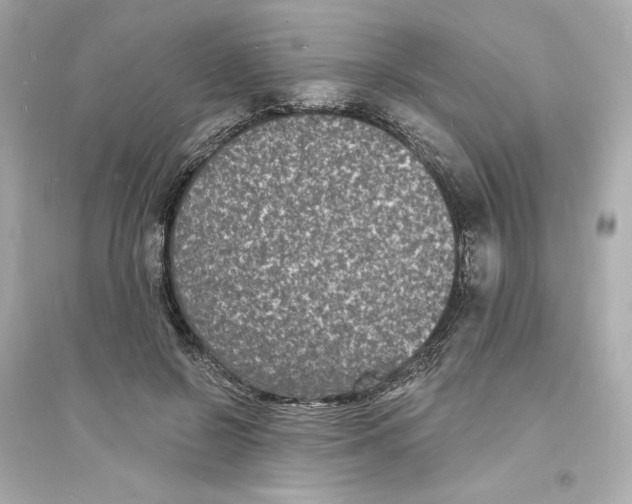 X0000093720550200711131016