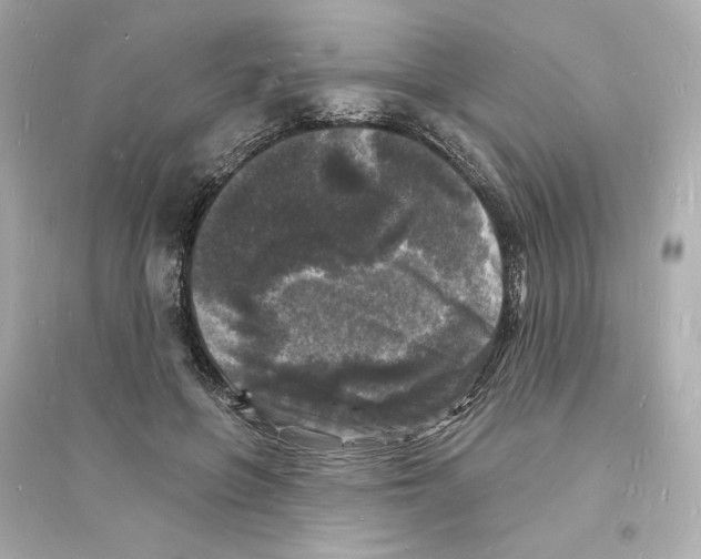 X0000093720551200711131016