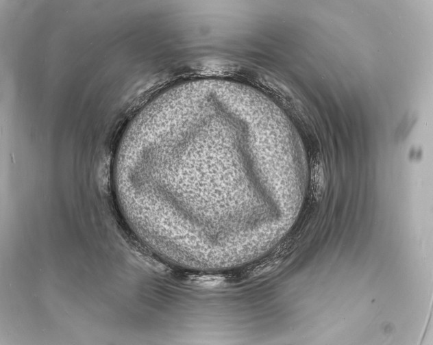 X0000093720554200711131016