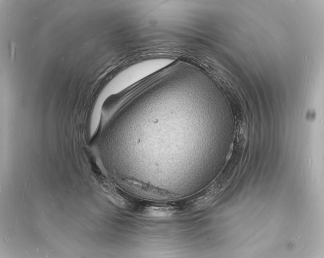 X0000093720556200711131016